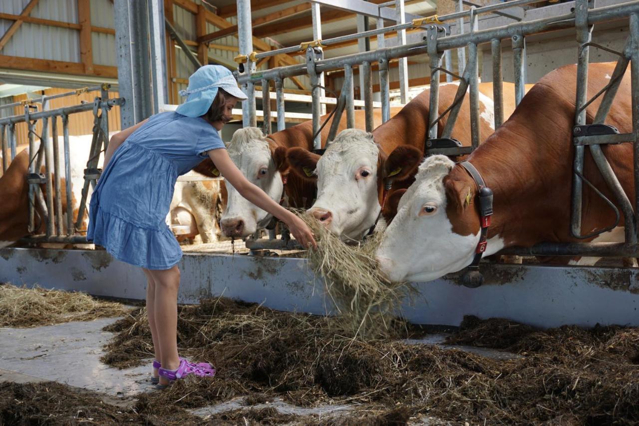 Kinderbauernhof Salmanner Steinbach an der Steyr Exteriör bild