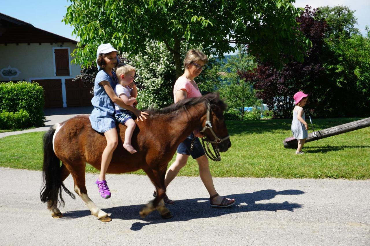 Kinderbauernhof Salmanner Steinbach an der Steyr Exteriör bild