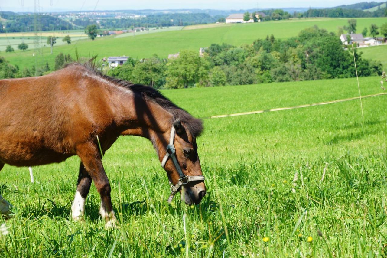 Kinderbauernhof Salmanner Steinbach an der Steyr Exteriör bild