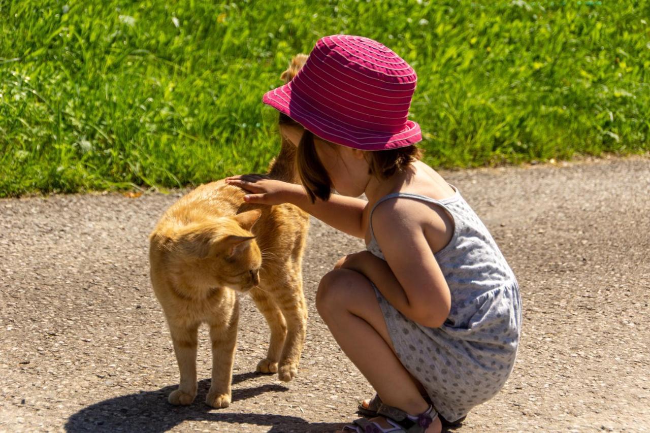 Kinderbauernhof Salmanner Steinbach an der Steyr Exteriör bild