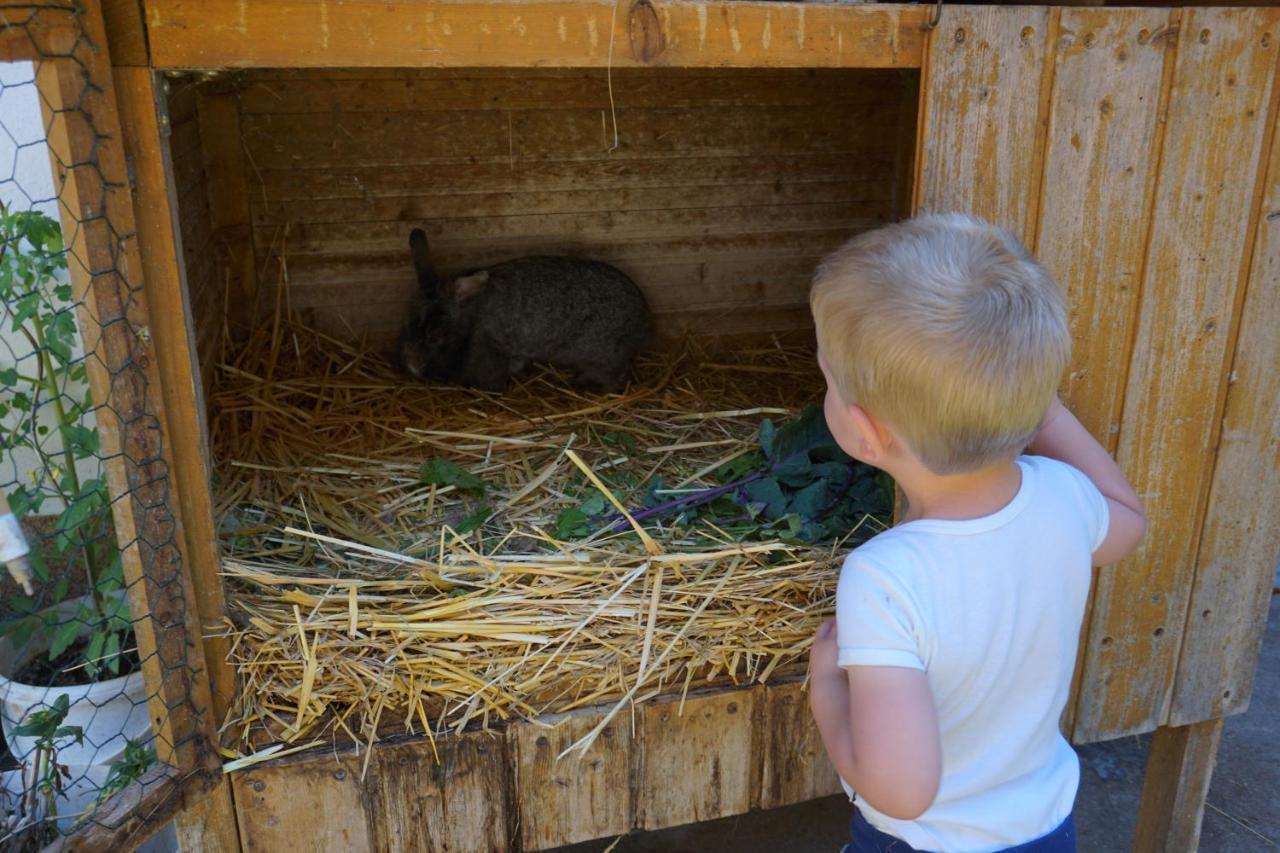 Kinderbauernhof Salmanner Steinbach an der Steyr Exteriör bild