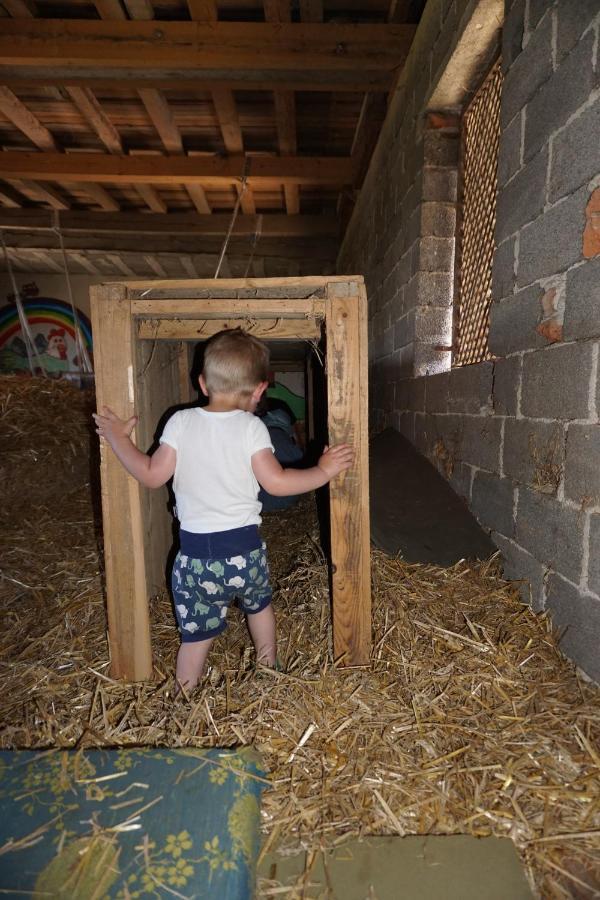 Kinderbauernhof Salmanner Steinbach an der Steyr Exteriör bild