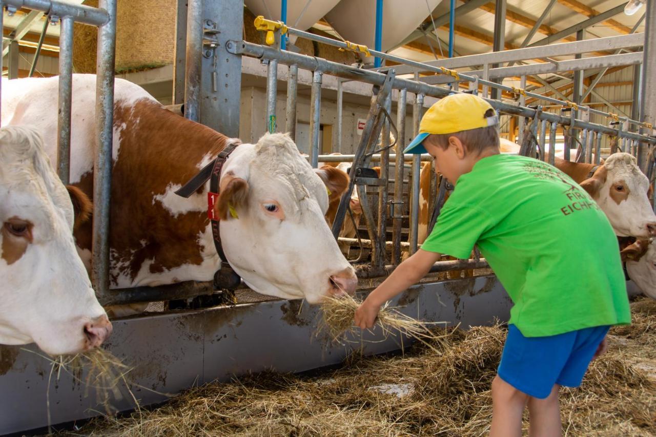 Kinderbauernhof Salmanner Steinbach an der Steyr Exteriör bild