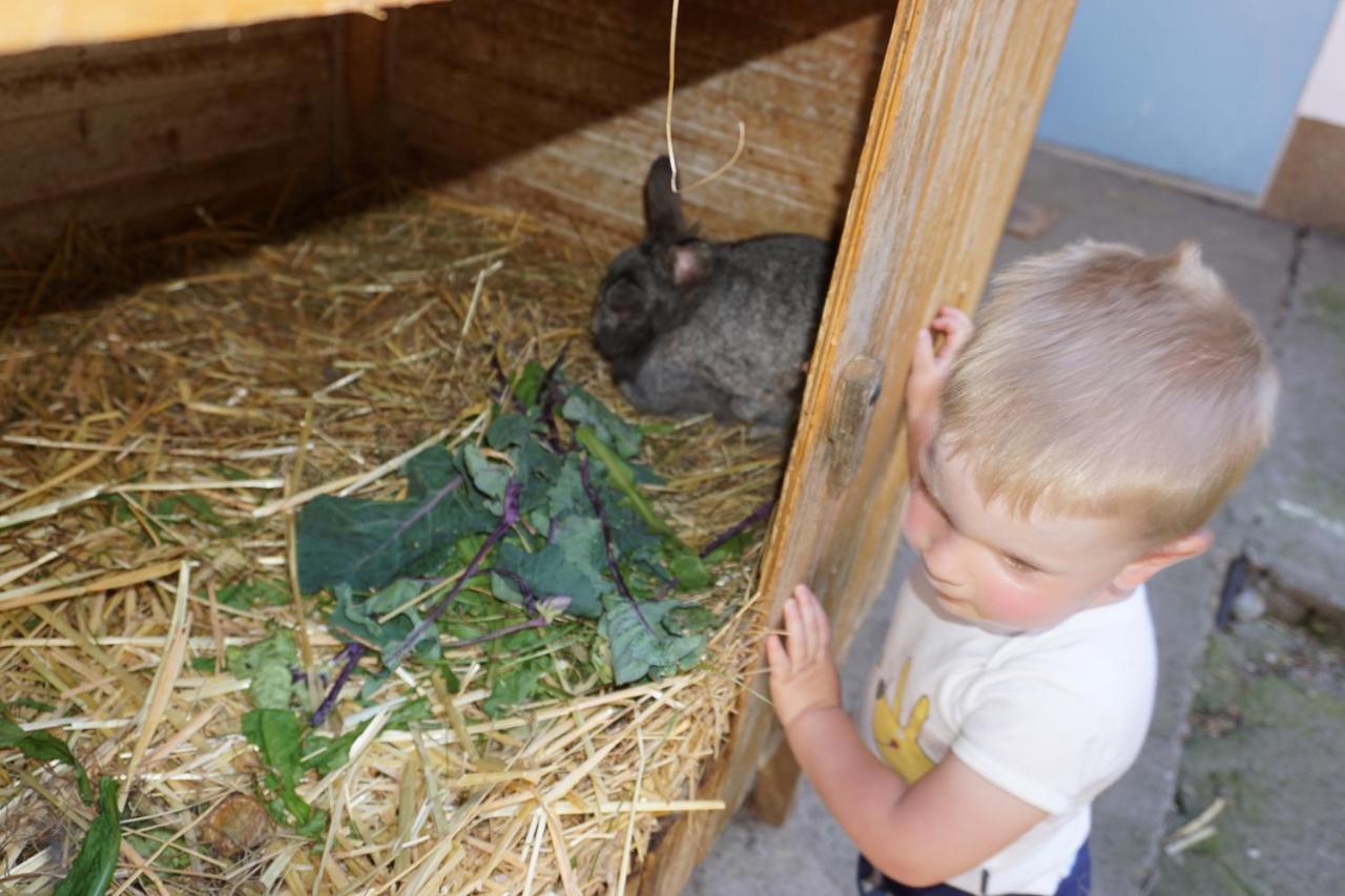 Kinderbauernhof Salmanner Steinbach an der Steyr Exteriör bild