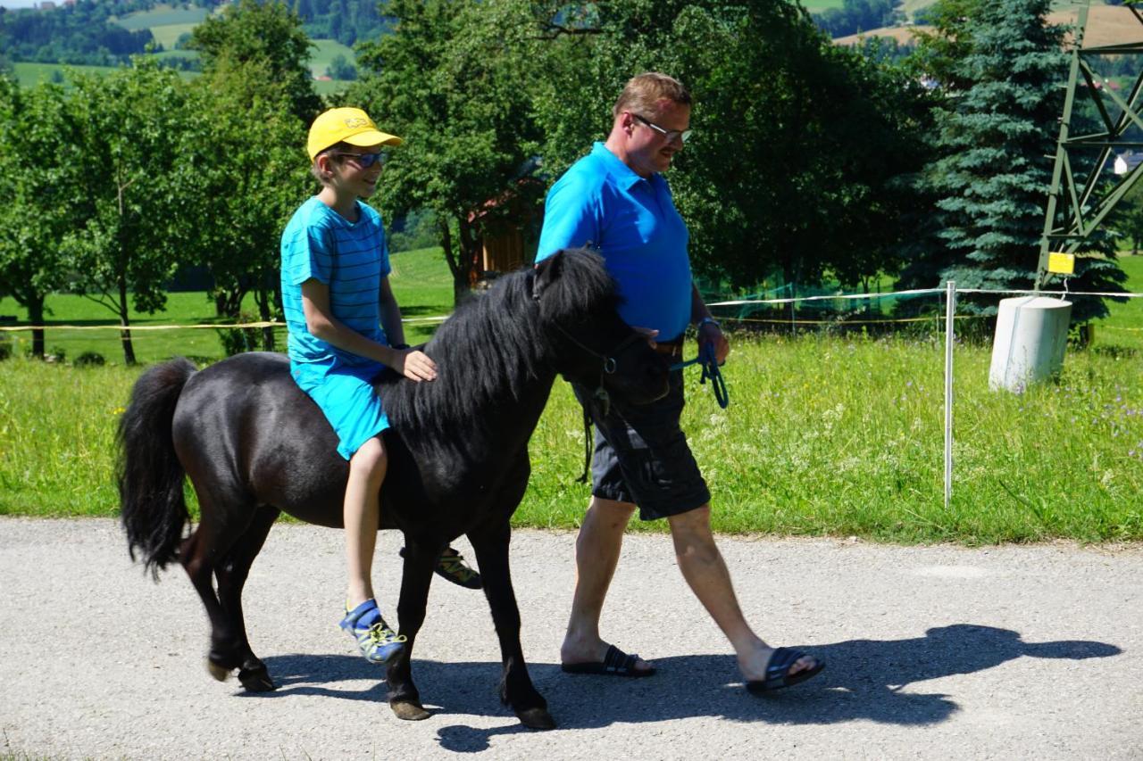 Kinderbauernhof Salmanner Steinbach an der Steyr Exteriör bild