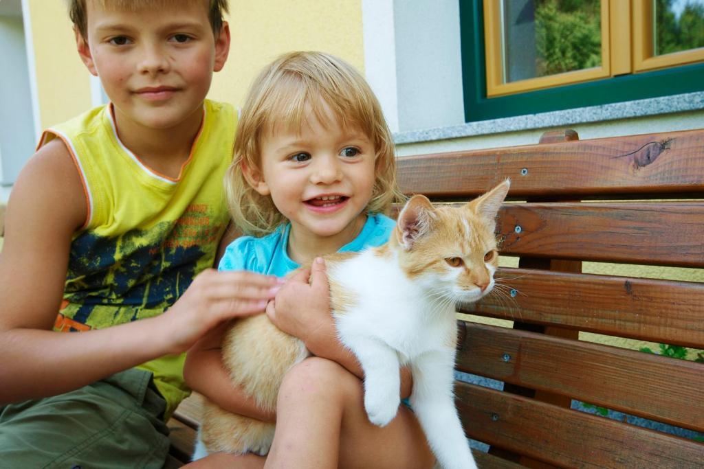 Kinderbauernhof Salmanner Steinbach an der Steyr Exteriör bild