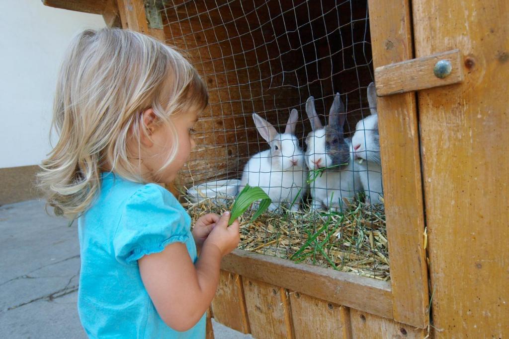 Kinderbauernhof Salmanner Steinbach an der Steyr Exteriör bild